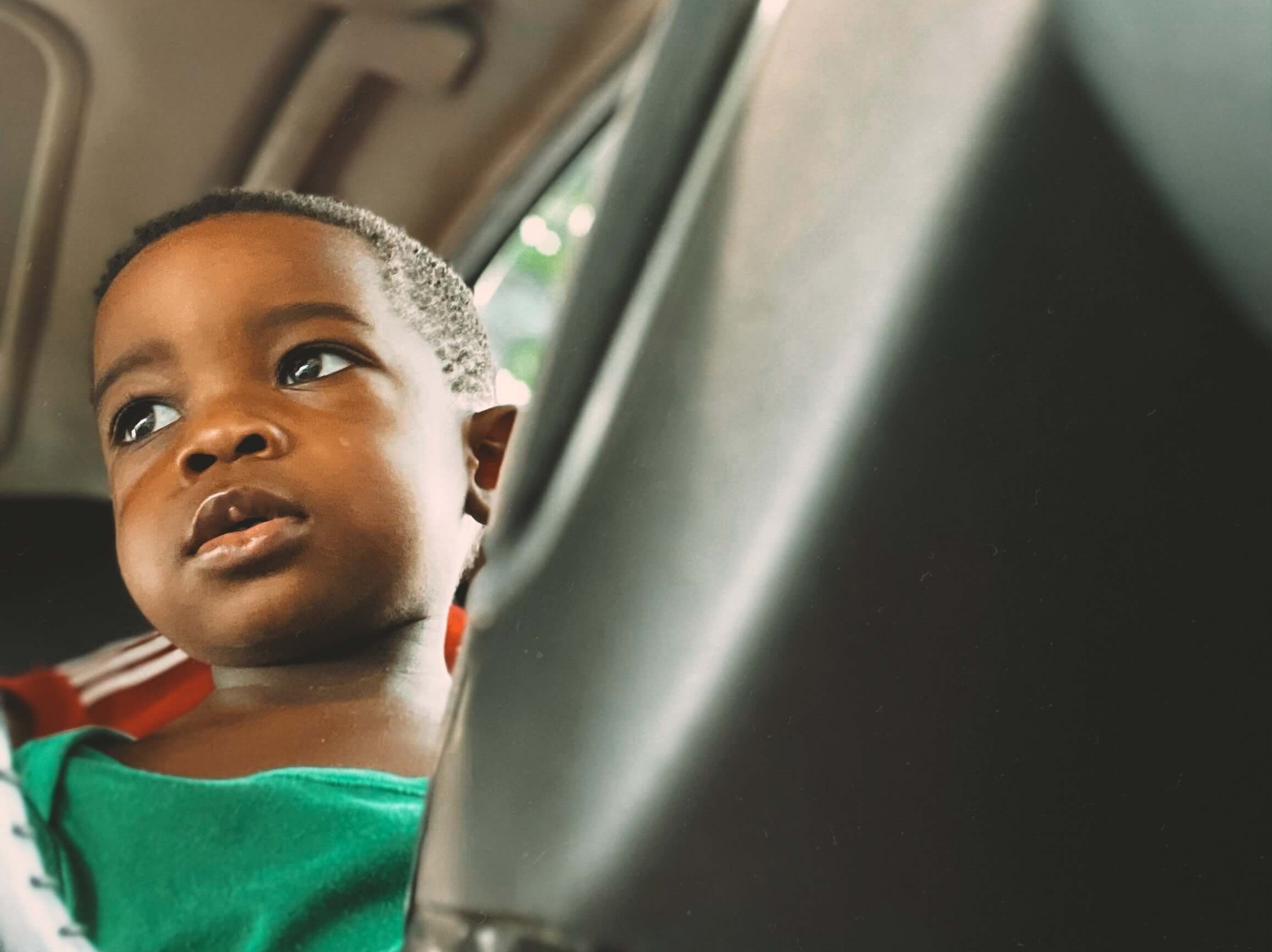 Hot Cars Endanger the Lives of Children and Pets