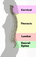 Functional Outcomes in Spinal Cord Injuries