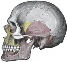 depressed skull fracture complications