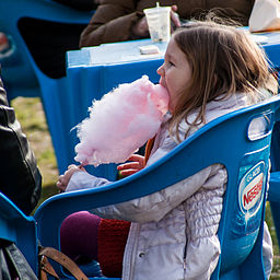 Mendocino County Fair Fun