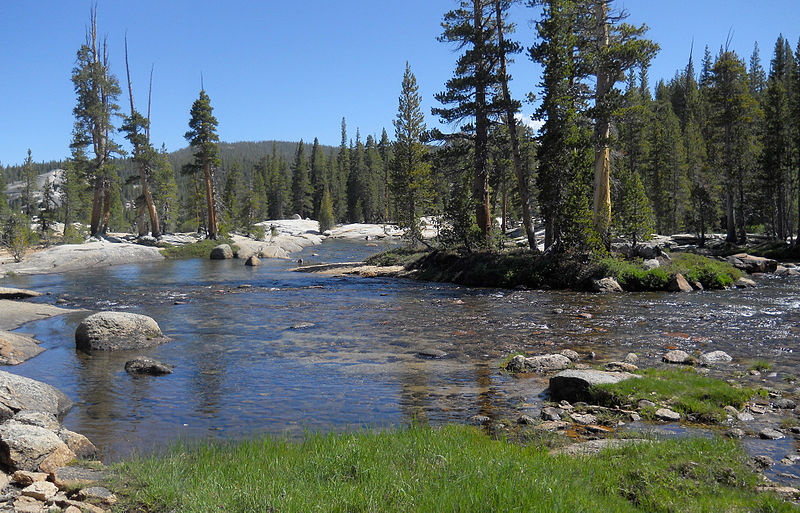 Tuolumne River Rescue