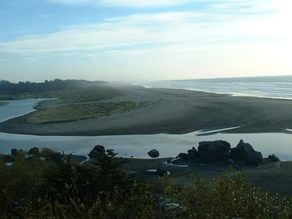 oysterfest 2017 arcata