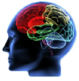 traumatic brain injury and psychosis