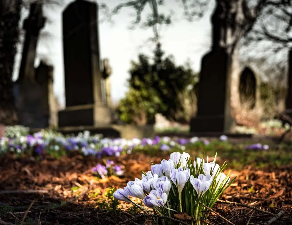 Factors of a Wrongful Death Claim