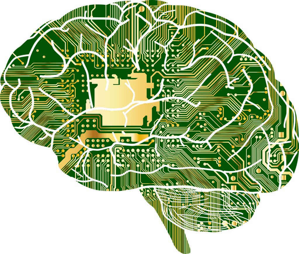 Pituitary Damage After a Traumatic Brain Injury