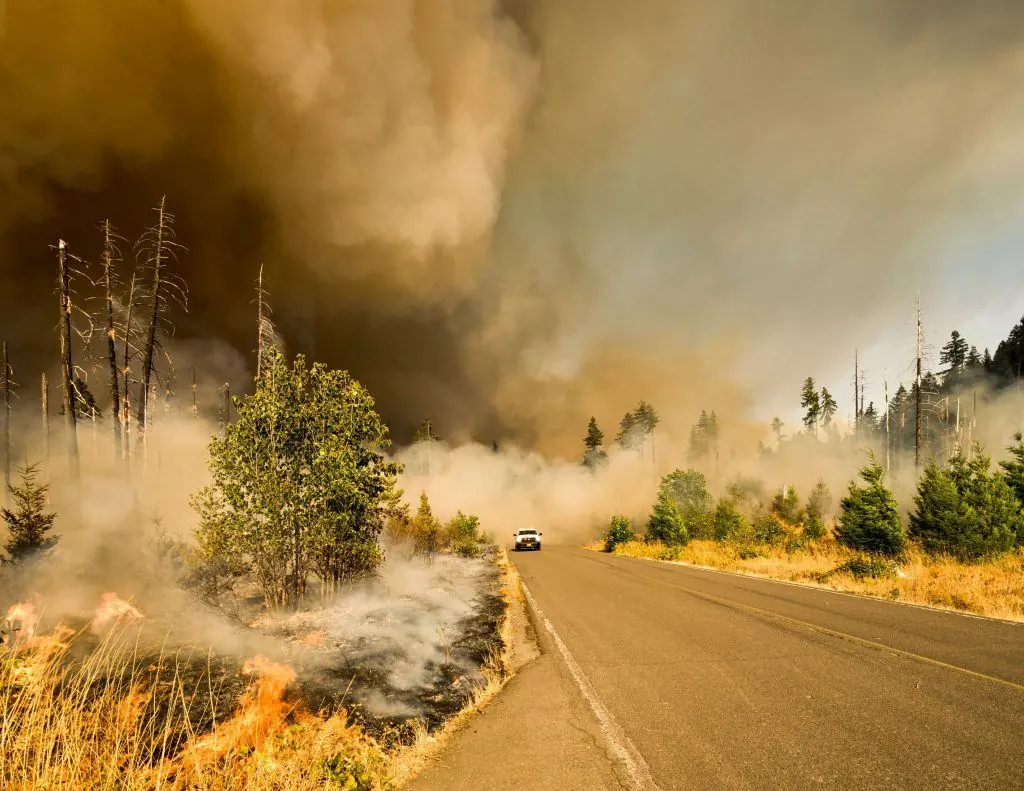 California Wildfires Hit Taxpayers, Tourism