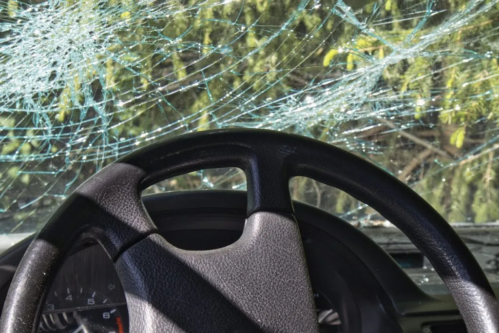 crash into tree