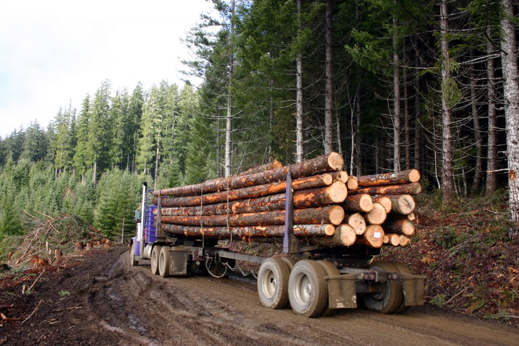 logging truck accident