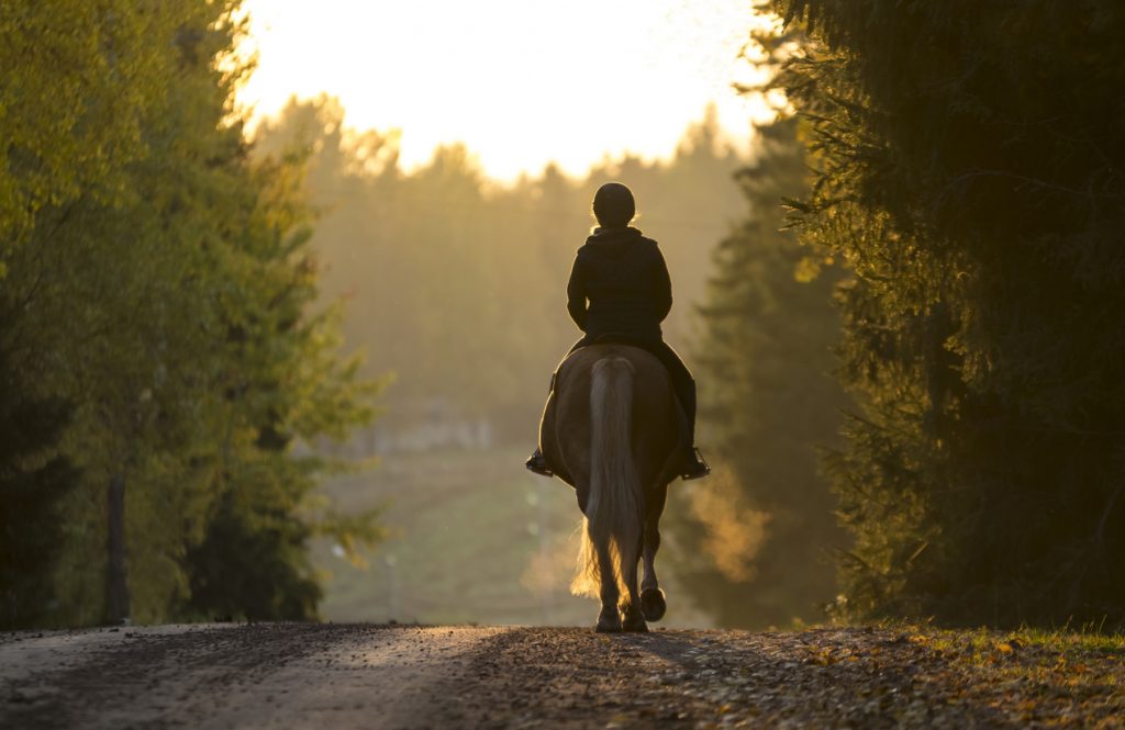 horseback riding accident