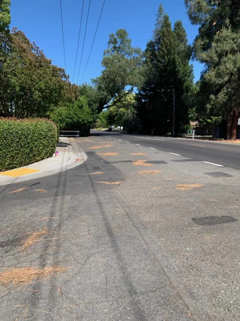 Cypress Avenue and Stillmeadow Way Intersection